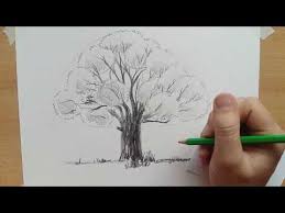 Hoe Teken Je Een Boom Eik Youtube Bomen Tekenen Tekenen Boom