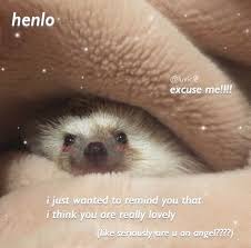 Henlo Peeps Wholesome Memes Cute Memes Cute Love Memes