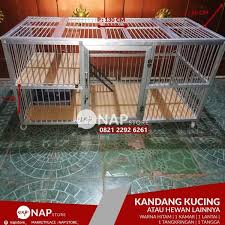 Namun hal yang buruk terjadi ketika mereka bebas mengkonsumsi makanan dan minuman sembarangan. Jual Murahnya Bikin Nagih Kandang Kucing Alumunium P130xl60xt60 Di Lapak Davidmahardika281 Bukalapak
