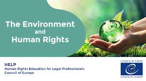 Replace disposable items with reusable anything you use and throw away can potentially spend centuries in a landfill. The Environment And Human Rights New Free Council Of Europe Help Online Course News