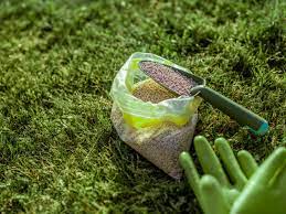 Well for starters, phosphorus is able to boost plant growth and stimulate the roots. The Function Of Phosphorus In Plants And The Garden