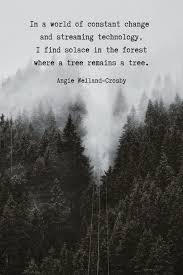 Find peace in where and what you are. Humanity Quotes Nature Peace Quotes For The Soul In 2021 Peace Quotes Humanity Quotes Nature Quotes