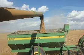 Estimating Crop Yield Agriculture And Food