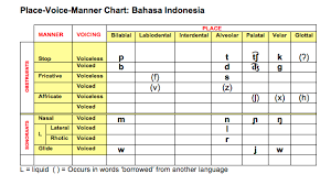 Speech Language Therapy