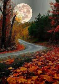 14 Gorgeous Harvest Moon Photos That Will Make You Love Autumn Mega Memes Lol Autumn Scenery Beautiful Moon Nature Photography