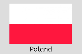 Click to download poland, flag, english, france, french, germany, italy, sweden icon from public domain world flags iconset by wikipedia authors. Polish Flag Icon Poland Country Flag Vector Illustration Stock Images Page Everypixel