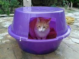 Kedi Evi Yapimi