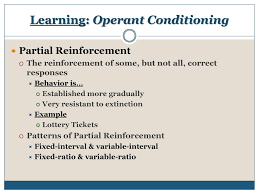 Simply put, operant conditioning refers to a systematic program of rewards and punishments to operant conditioning relies on two basic assumptions about human experience and psychology: Objective 11 23 16 Provided Notes An Activity Swbat Describe The Process Of Operant Conditioning Including The Procedure Of Shaping I E Skinner S Box Ppt Download