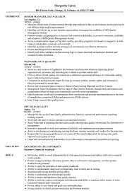 How to write a summary of qualifications resume companion. Data Quality Resume Samples Velvet Jobs