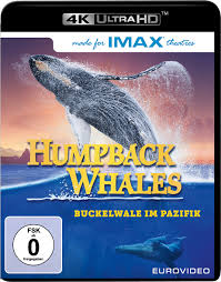 See a recent post on tumblr from @mauswohn about buckelwal. Humpback Whales Buckelwale Im Pazifik Film 2015 Filmstarts De