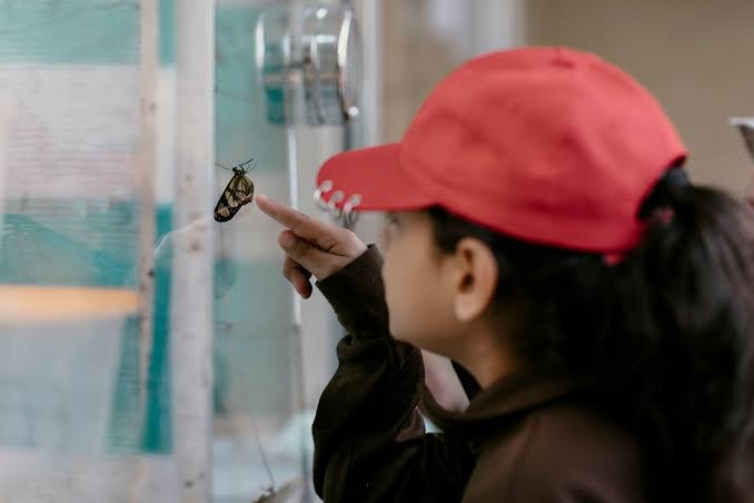 Mocon�, Salto Encantado y Santa Ana: los parques que impulsan el turismo educativo en Misiones