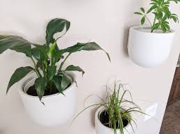 Design crew is a design consultation program, our west elm insider explains. Indoor Plant Wall Modern Boho Planter Pots The Diy Lighthouse