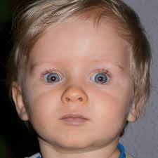 Philipp Gerlach in personen