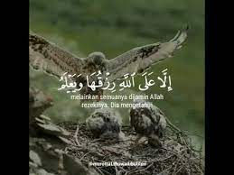 Palmer explanation (tafseer) of surah hud (quran) from the qur'an, part i & ii, translated by e.h. Surat Hud Ayat 6 Youtube