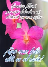 Feliz día mamá, te deseo lo mejor; Palabras Para Una Madre De Verdad Valiente Y Ejemplar Feliz Dia De La Madre Feliz Dia Madres Frases Frases Feliz Dia
