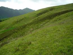 Afternoon On A Hill Edna St Vincent Millay Hills Natural Landmarks