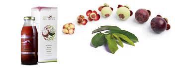 Check spelling or type a new query. Keuntungan Dari Jus Ekstrak Kulit Manggis Miliarder Muda