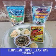Dimana umpan tersebut banyak digunakan para senior (suhu) mancing. Kumpulan Umpan Ikan Mas Paling Jitu Lengkap Edisutanto Com