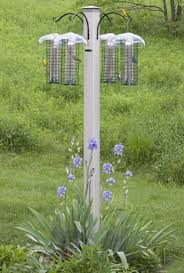 Bird Feeding Station Ideas Best 25 Bird Feeding Station Ideas Bird Feeding Station Feeding Station Bird Feeder Station
