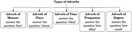 Manner adverbs tell us how something happened. Adverb Exercises For Class 7 Cbse With Answers