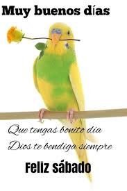 Ver más ideas sobre feliz sábado, buenos dias feliz sabado, imagenes de feliz sabado. Rogel Buen Dia Feliz Sabado Facebook