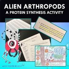 Alien Arthropod Protein Synthesis Activity Protein Synthesis Activity Protein Synthesis Biology Worksheet