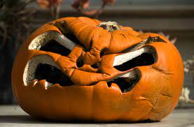 With both male and female pumpkin blossoms lasting only a few hours each day, conditions need to be. How Long Do Carved Pumpkins Last Before They Rot