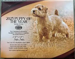 Impressive advertisements yet again! Our gratitude goes to ShowScene and  Anette LeJeune for highlighting our exceptional team. ShowScene Anette  LeJeune