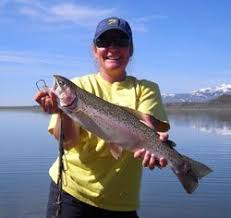 Nevada Department Of Wildlife Fish Sport Fishing Rainbow Trout