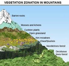 Vegetation Zones In Mountains Ecosystems Projects Biomes Mountain Ecosystem