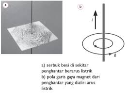 Adanya medan magnet ini dapat kita tunjukkan dengan perhatikan dengan cermat bagaimana letak serbuk besi. Kemagnetan Artikel Materi Ipa Smp Mts Kelas 9