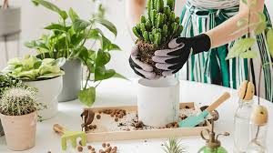 Achieve this through plant selection, situating plants near the focal point that don't overpower or overwhelm it. Home Gardening Trend Tip From Hyundai Engineering Construction Landscape Expert