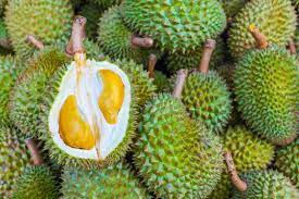 What is the national animal of malaysia? 6 Southeast Asian Fruits To Love