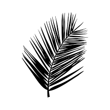 The file contains a clipping path that can easily make a selection and use the leaf separately as a design element. Palm Leaf Black White Stock Illustrations 23 792 Palm Leaf Black White Stock Illustrations Vectors Clipart Dreamstime