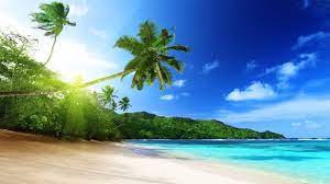 Check spelling or type a new query. Happy Caribbean Music Tropical Island Youtube