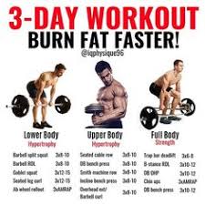 Instagram Full Body Workout Routine 3 Day Workout Workout Plan