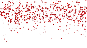 Falling Rose Leaves Png Transparent Free Rose Leaves Rose Petals Petals