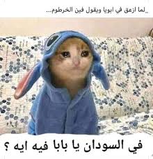 Pin By A On نكت Funny Picture Jokes Girly Art Anime Jokes