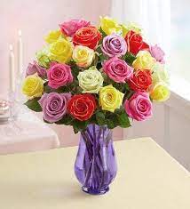 We did not find results for: 1 800 Flowers Two Dozen Assorted Roses With Purple Vase Blbproducts Com