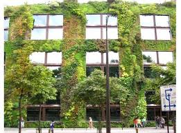 Musee Du Quai Branly Greenwall Greenroofs Com Vertical Garden Vertical Garden Systems Green Facade
