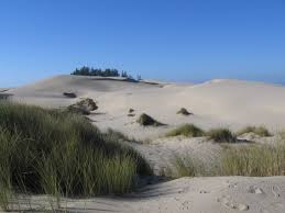 Check spelling or type a new query. Oregon Dunes National Recreation Area Wikipedia