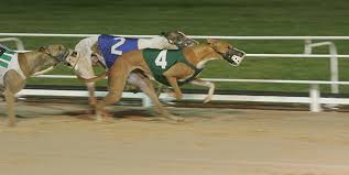 We did not find results for: What Is A Quinella Bet The Twinspires Edge