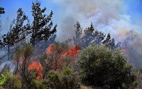 Μεγάλη φωτιά βρίσκεται σε εξέλιξη στη σε δασική έκταση στα νέα στύρα καρύστου στην εύβοια. G8q9pzv9uhfaym