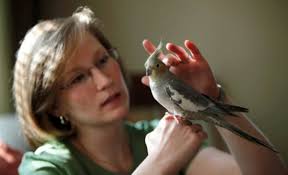 Animales irritantes, dura prueba para sus dueños