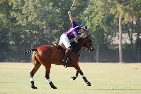 Dream Jobs: Professional Polo Player Sunny Hale | Equitrekking