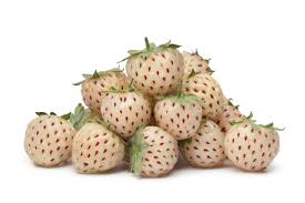 Exotic fruit and vegetables offer a unique opportunity to break away from the apple and watermelon routine and expand your horizon. Weird Fruits Bizarre Exotic Fruits