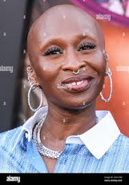 Tuck shirt hi-res stock photography and images