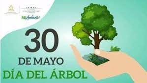 El árbol forestal argentino es el quebracho colorado chaqueño que no debe confundirse con la flor otra fecha vinculada con el día del árbol es el día forestal mundial, establecido desde 1971 por la. Celebracion 30 De Mayo Dia Del Arbol En Centro Educacion Basica Jose Antonio Dominguez Juticalpa Olancho Miambiente Secretaria De Recursos Naturales Ambiente Y Minas Jose Antonio Galdames Casa Presidencial De Miambiente