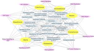 To alleviate confusion, we have created an infographic of the ribbon colors that are generally used to represent various types of cancer. Informed Walks Whispering Hints To Gene Hunters Inside Networks Jungle Bmc Systems Biology Full Text