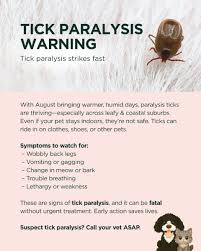 Image result for Tick Paralysis